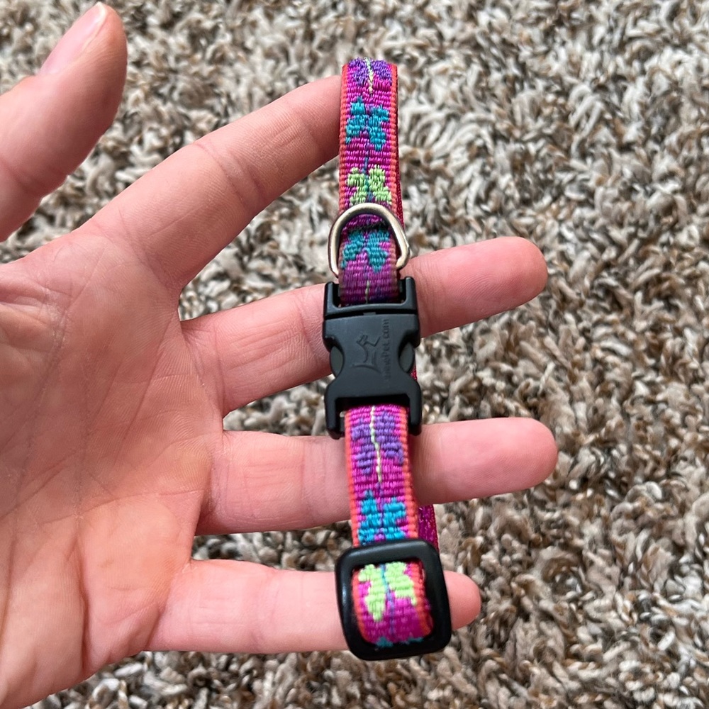 Lupine Dog Collar